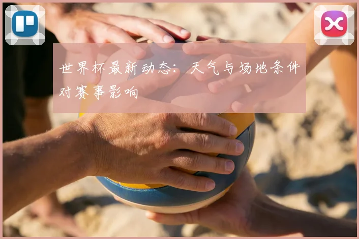 世界杯最新动态：天气与场地条件对赛事影响