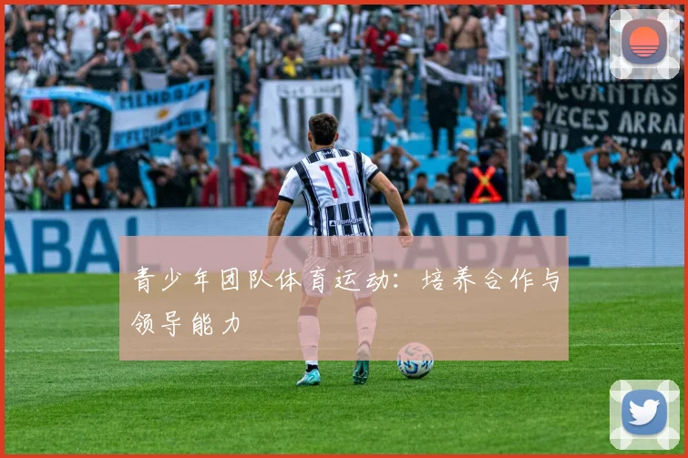 青少年团队体育运动：培养合作与领导能力