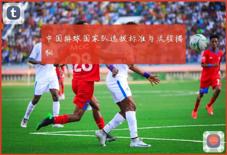 中国排球国家队选拔标准与流程揭秘