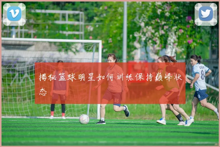 揭秘篮球明星如何训练保持巅峰状态